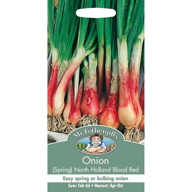 MR FOTHERGILL'S - ONION SPRING NORTH HOLLAND SEEDS