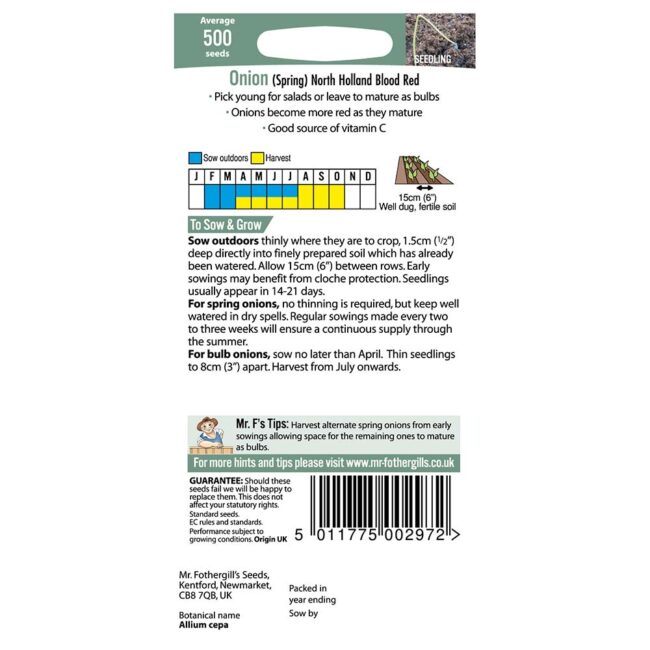 MR FOTHERGILL'S - ONION SPRING NORTH HOLLAND SEEDS - Image 2
