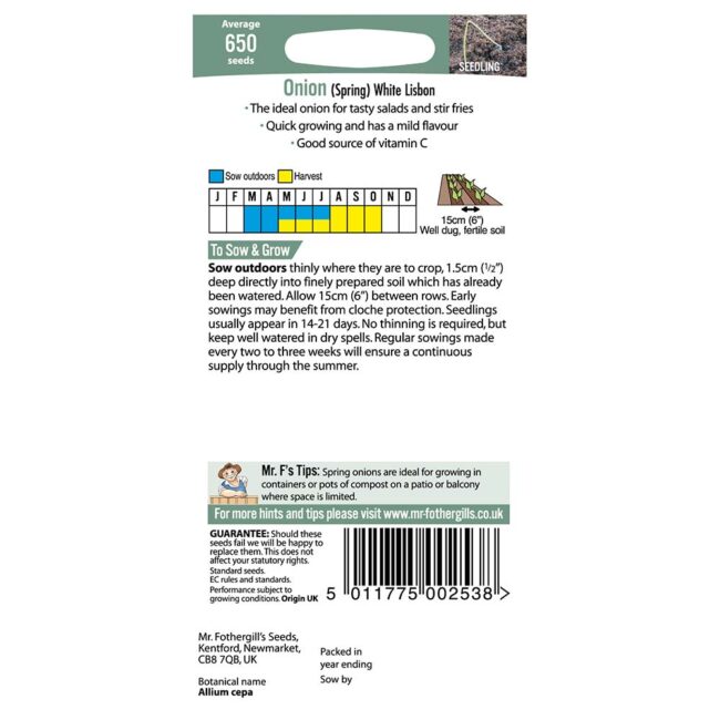 MR FOTHERGILL'S - ONION SPRING WHITE LISBON SEEDS - Image 2