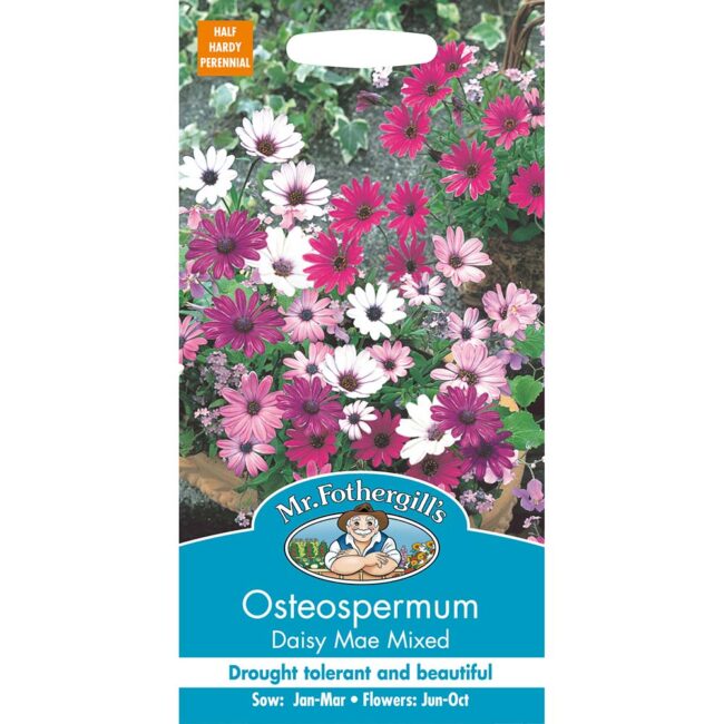 MR FOTHERGILL'S - OSTEOSPERMUM DAISY MAE MIXED SEEDS