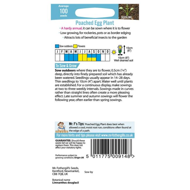 MR FOTHERGILL'S - POACHED EGG PLANT SEEDS - Image 2