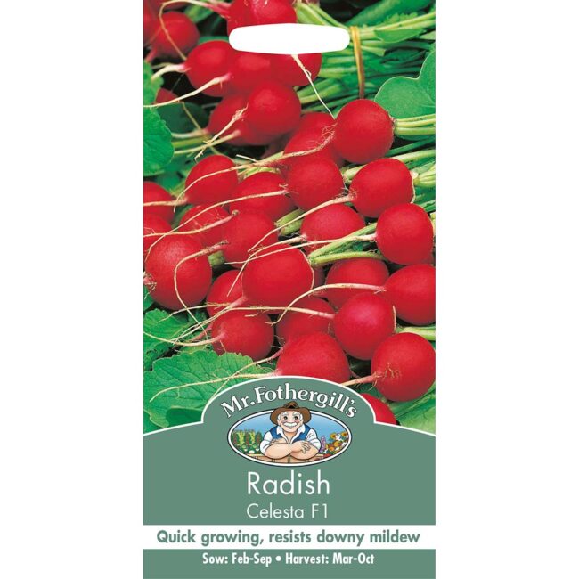 MR FOTHERGILL'S - RADISH CELESTA F1 SEEDS