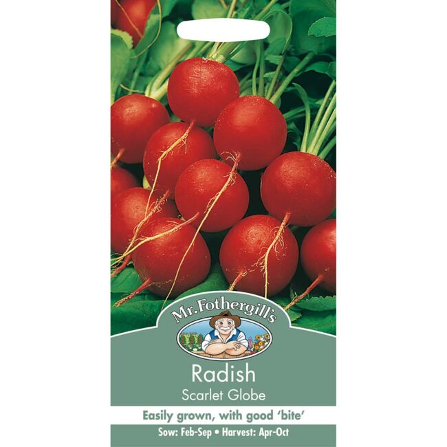 MR FOTHERGILL'S - RADISH SCARLET GLOBE SEEDS