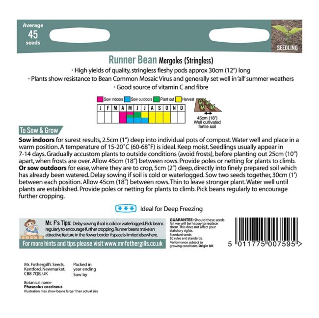 MR FOTHERGILL'S - RUNNER BEAN MERGOLES SEEDS - Image 2