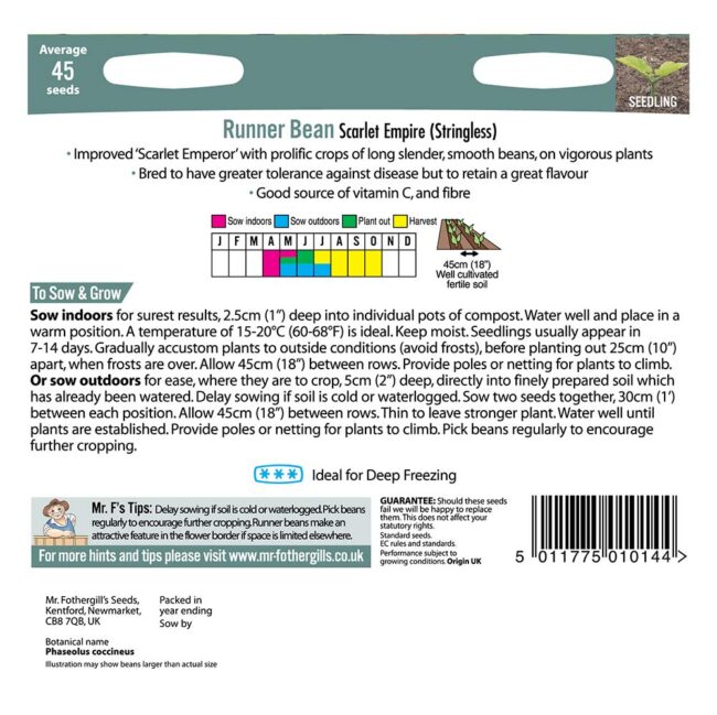 MR FOTHERGILL'S - RUNNER BEAN SCARLET EMPIRE SEEDS - Image 2