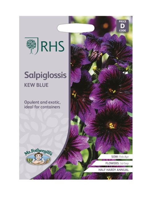 MR FOTHERGILL'S SALIPIGLOSSIS KEW BLUE