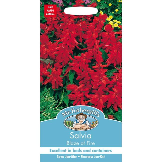 MR FOTHERGILL'S - SALVIA BLAZE OF FIRE SEEDS