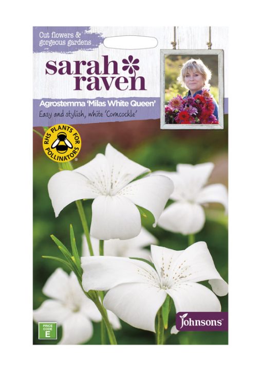 MR FOTHERGILL'S SARAH RAVEN AGROSTEMMA MILAS WHITE