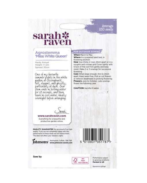 MR FOTHERGILL'S SARAH RAVEN AGROSTEMMA MILAS WHITE - Image 2