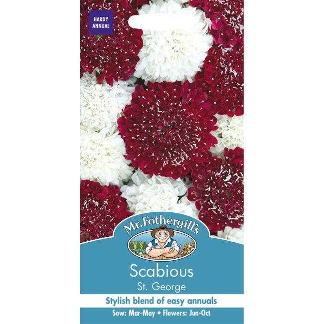 MR FOTHERGILL'S - SCABIOUS ST GEORGE SEEDS
