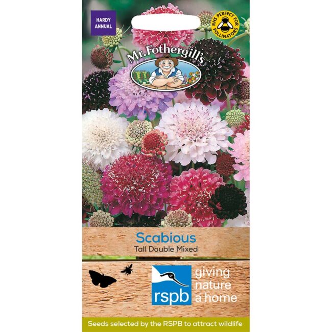 MR FOTHERGILL'S - SCABIOUS TALL DOUBLE MIXED SEEDS