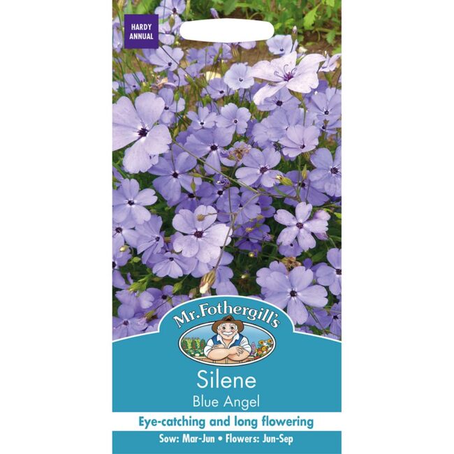 MR FOTHERGILL'S - SILENE BLUE ANGEL SEEDS
