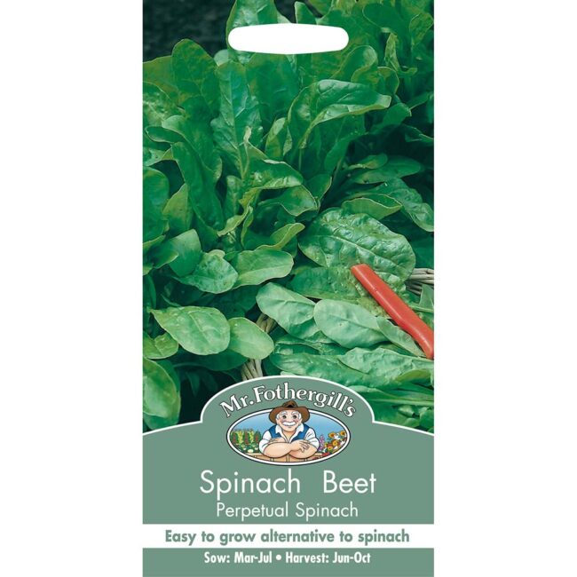 MR FOTHERGILL'S - SPINACH BEET PERPETUAL SEEDS