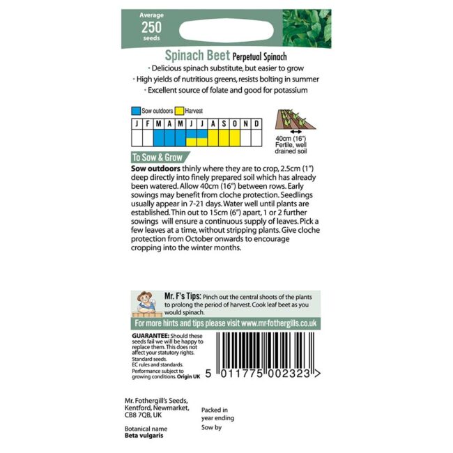 MR FOTHERGILL'S - SPINACH BEET PERPETUAL SEEDS - Image 2