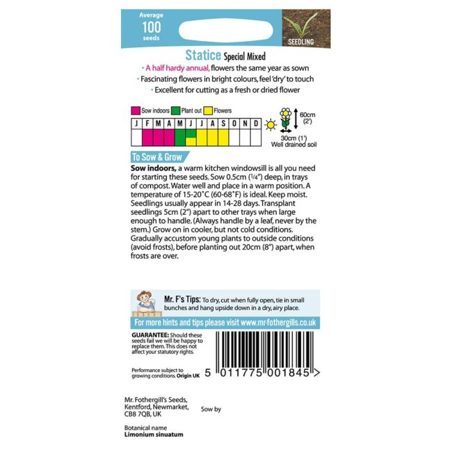 MR FOTHERGILL'S - STATICE SPECIAL MIXED SEEDS - Image 2