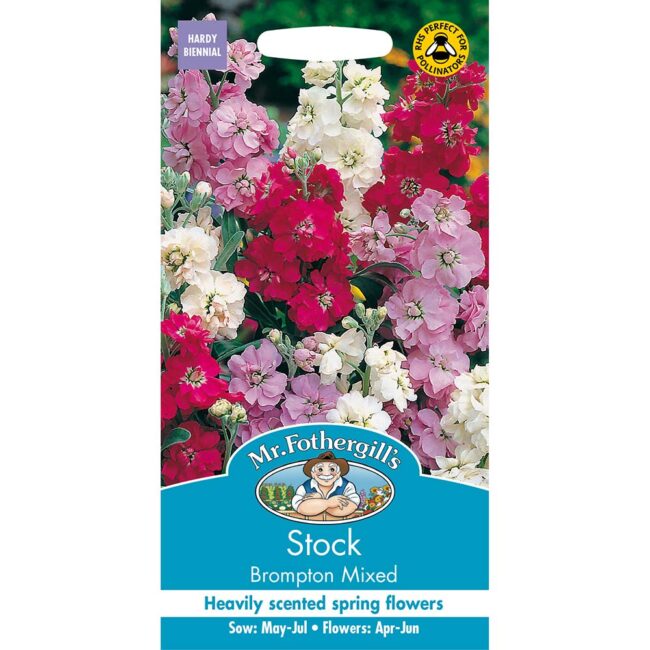 MR FOTHERGILL'S - STOCK BROMPTON MIXED SEEDS