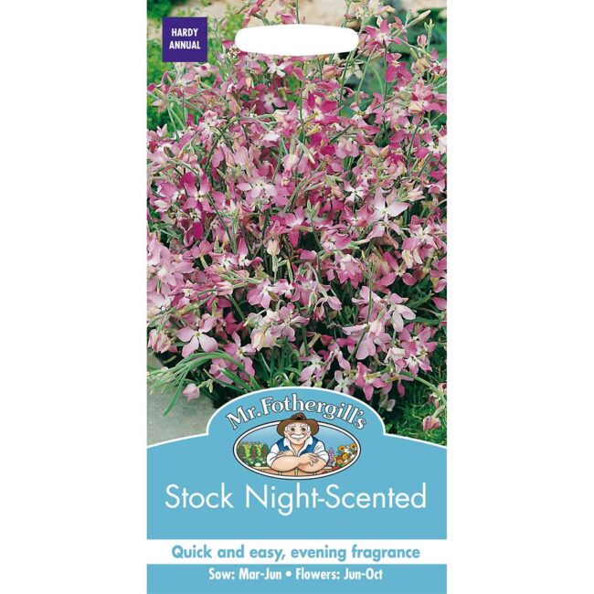 MR FOTHERGILL'S - STOCK NIGHT SCENTED SEEDS