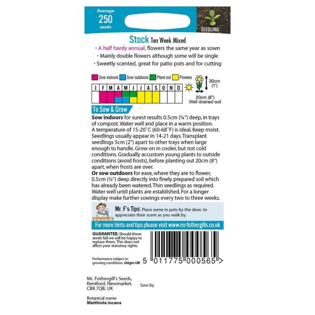 MR FOTHERGILL'S - STOCK TEN WEEK MIXED SEEDS - Image 2