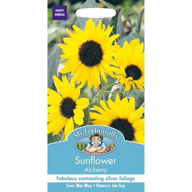 MR FOTHERGILL'S - SUNFLOWER ALCHEMY SEEDS