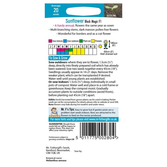 MR FOTHERGILL'S - SUNFLOWER BLACK MAGIC F1 SEEDS - Image 2