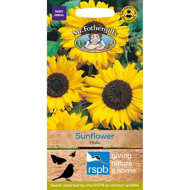 MR FOTHERGILL'S - SUNFLOWER HALLO SEEDS