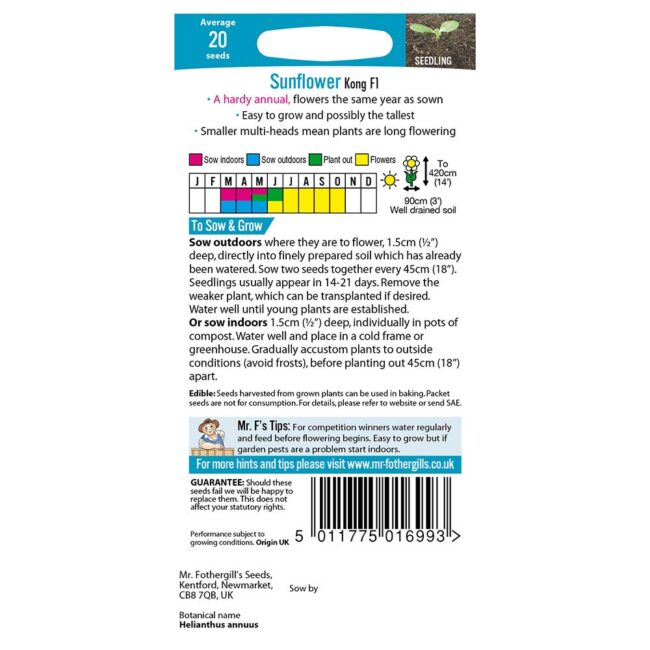 MR FOTHERGILL'S - SUNFLOWER KONG F1 SEEDS - Image 2