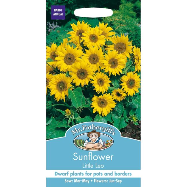 MR FOTHERGILL'S - SUNFLOWER LITTLE LEO SEEDS