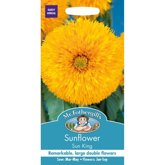 MR FOTHERGILL'S - SUNFLOWER SUN KING SEEDS