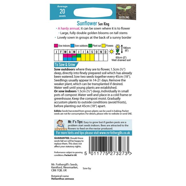 MR FOTHERGILL'S - SUNFLOWER SUN KING SEEDS - Image 2