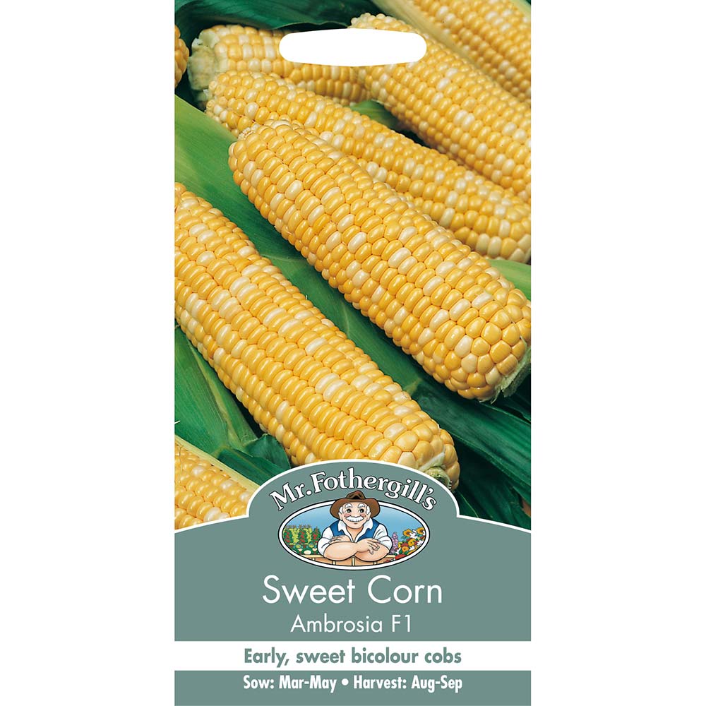 MR FOTHERGILL'S - SWEET CORN AMBROSIA F1 SEEDS