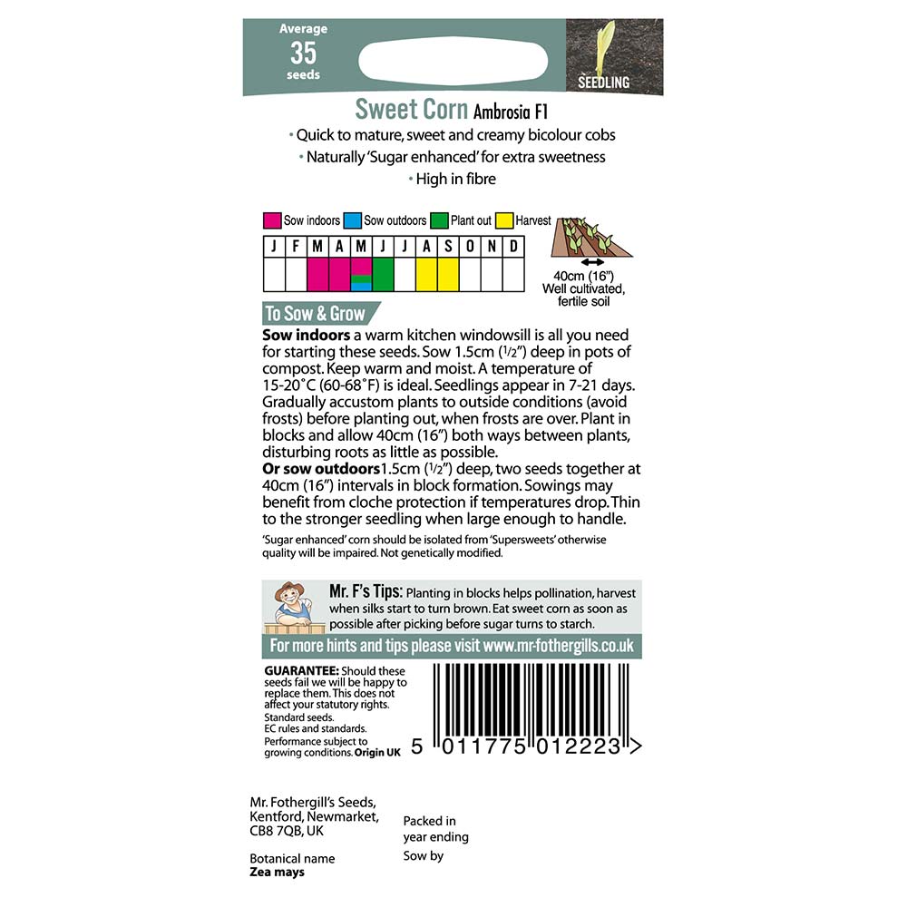 MR FOTHERGILL'S - SWEET CORN AMBROSIA F1 SEEDS - Image 2
