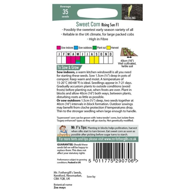 MR FOTHERGILL'S - SWEET CORN RISING SUN F1 SEEDS - Image 2