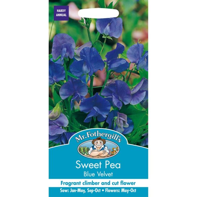 MR FOTHERGILL'S - SWEET PEA BLUE VELVET SEEDS