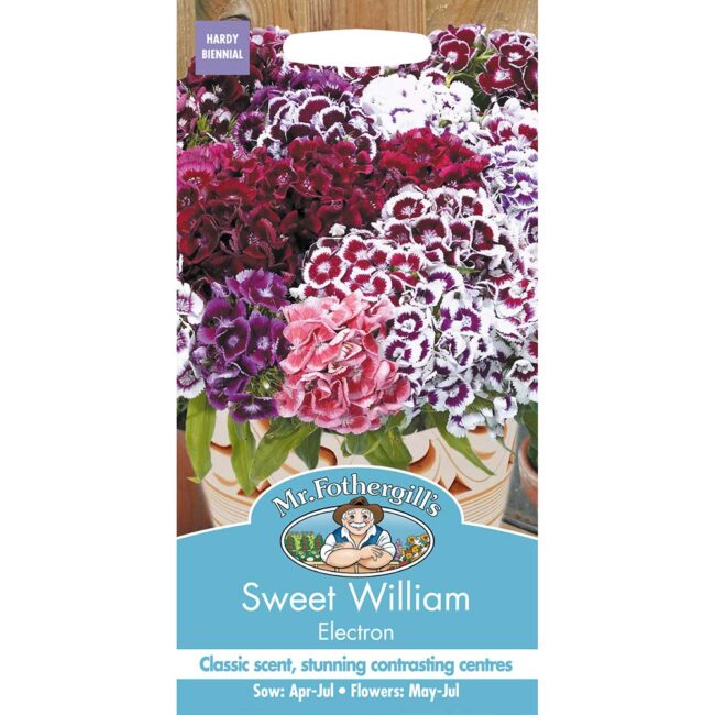 MR FOTHERGILL'S - SWEET WILLIAM ELECTRON SEEDS