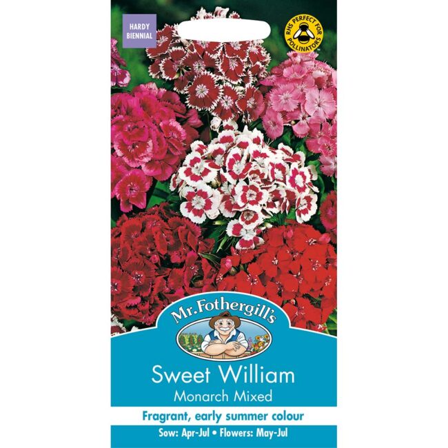 MR FOTHERGILL'S - SWEET WILLIAM MONARCH MIXED SEEDS