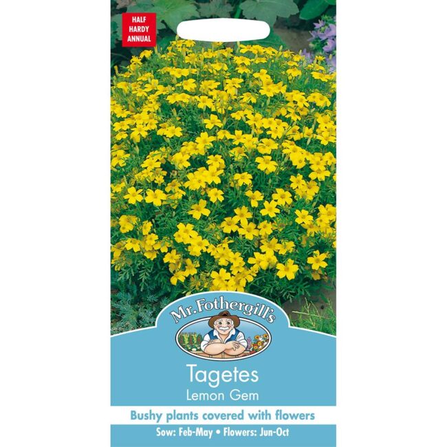 MR FOTHERGILL'S - TAGETES LEMON GEM SEEDS