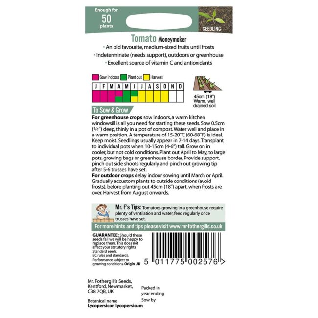 MR FOTHERGILL'S - TOMATO MONEYMAKER SEEDS - Image 2