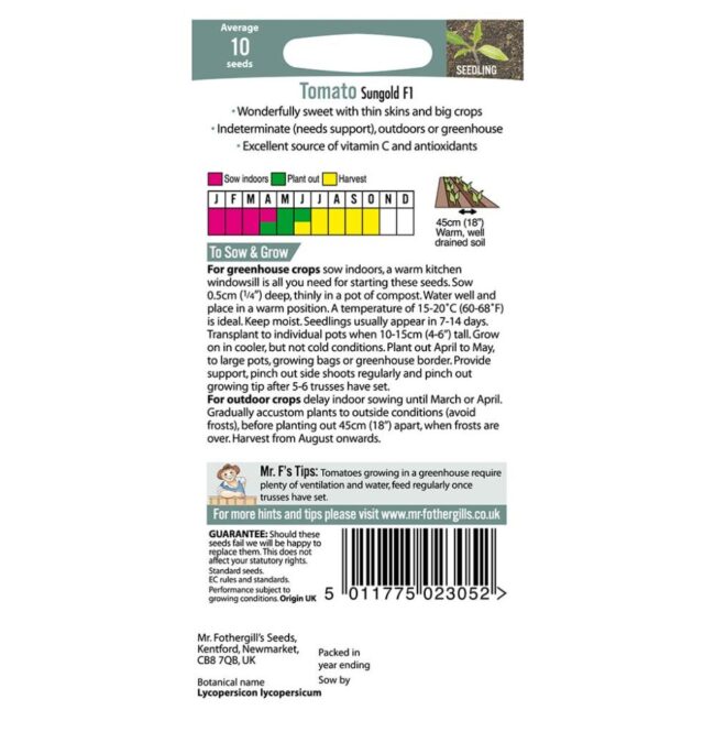 MR FOTHERGILL'S - TOMATO SUNGOLD F1 SEEDS - Image 2
