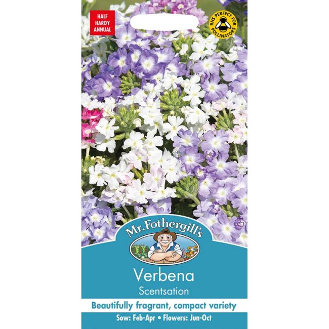 MR FOTHERGILL'S - VERBENA SCENTSATION SEEDS