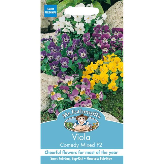 MR FOTHERGILL'S - VIOLA COMEDY MIXED F2 SEEDS
