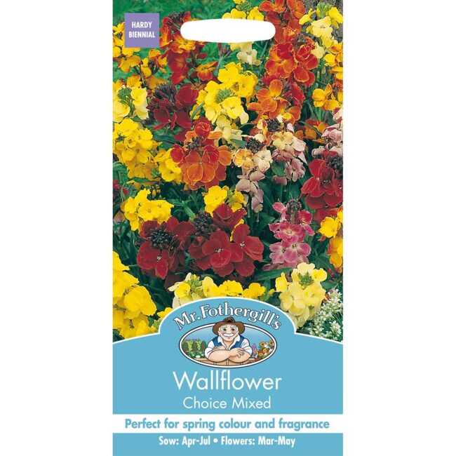 MR FOTHERGILL'S - WALLFLOWER CHOICE MIXED SEEDS