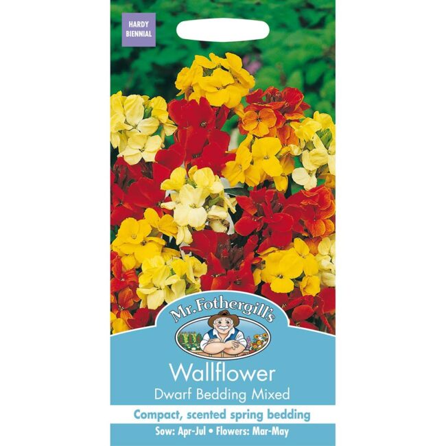 MR FOTHERGILL'S - WALLFLOWER DWARF BEDDING SEEDS