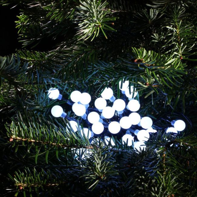 NOMA BERRY LIGHTS 100 COOL WHITE