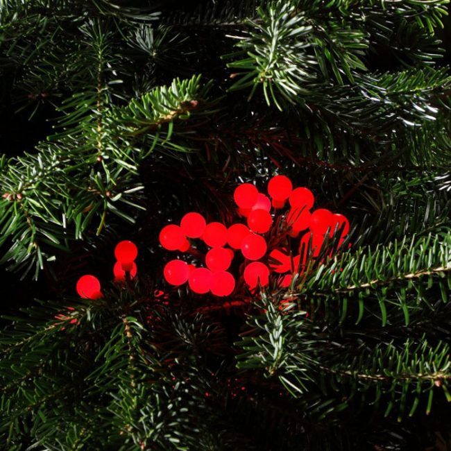 NOMA BERRY LIGHTS 100 RED
