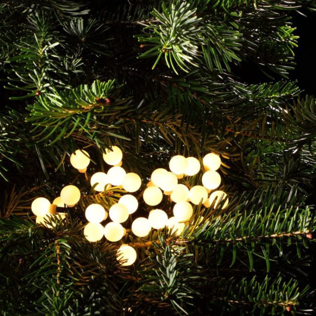 NOMA BERRY LIGHTS 100 WARM WHITE