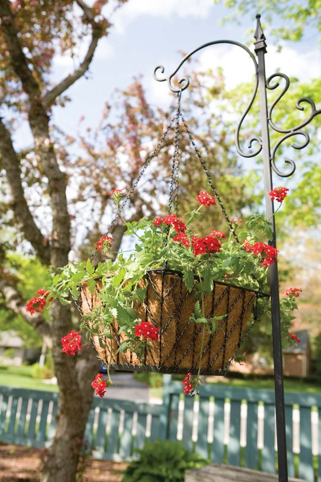 PANACEA HANGING BASKET DOUBLE DIAMOND SQUARE 14INCH/35CM