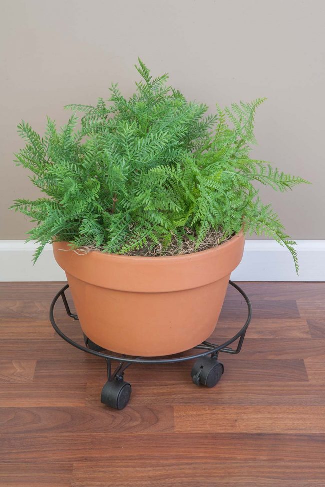 PANACEA PLANT CADDY 33CM