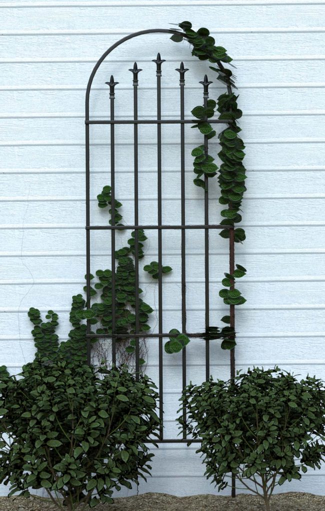 PANACEA ARCHED TRELLIS 182CM X 45CM