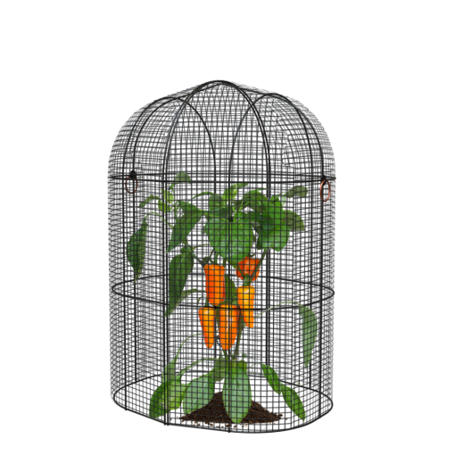 PANACEA MODERN FARMHOUSE CLOCHE 2 PIECE