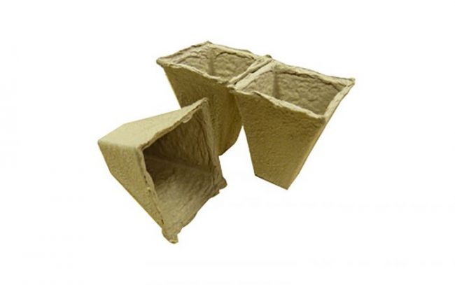 TILDENET PEAT POTS SQ 6CM
